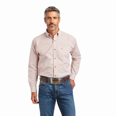 Camicie Ariat Pro Series Dayne Mini Stripe Classiche Fit Uomo Gialle | IT716NQUE