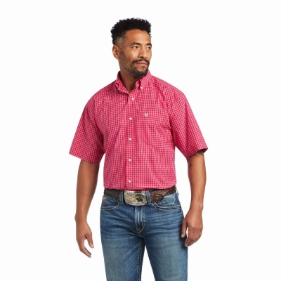 Camicie Ariat Pro Series Miles Classiche Fit Uomo Rosa Chiaro | IT856YVQK