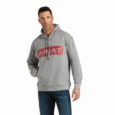 Hoodies Ariat Basic Uomo Arancioni | IT854YGZP