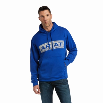 Hoodies Ariat Basic Uomo Blu Profondo Grigie | IT347MQYR