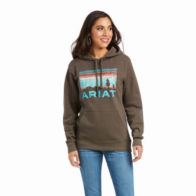 Hoodies Ariat REAL Arm Logo Donna Marroni | IT629MGAH