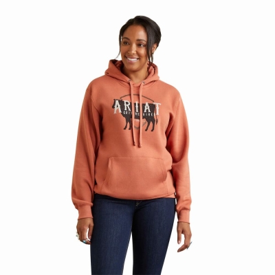 Hoodies Ariat REAL Branded Logo Donna Colorate | IT057WANM