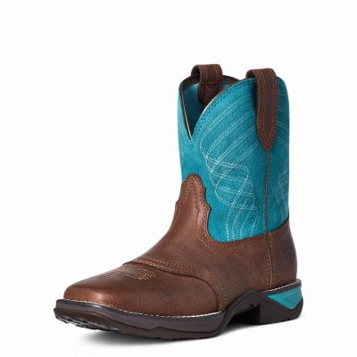 Stivali Western Ariat Anthem Donna Colorate | IT573IAQS