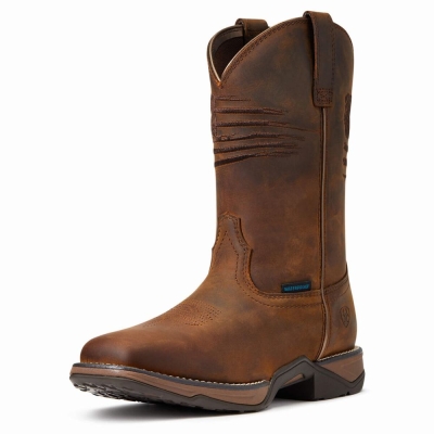 Stivali Western Ariat Anthem Patriot Impermeabili Donna Marroni | IT086CKDE