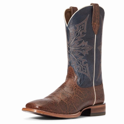 Stivali Western Ariat Circuit Gritty Uomo Colorate | IT529PSRC