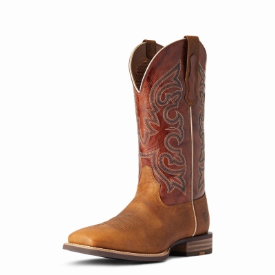 Stivali Western Ariat Everlite Go Getter Uomo Colorate | IT789TFAJ