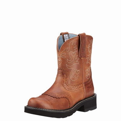 Stivali Western Ariat Fatbaby Saddle Donna Colorate | IT017PIKT