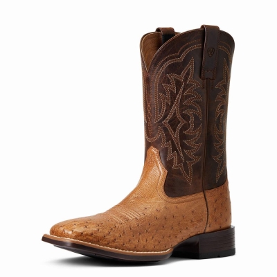 Stivali Western Ariat Night Life Ultra Uomo Colorate | IT264JBTE