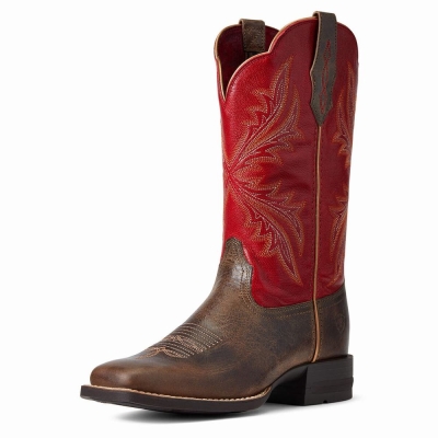 Stivali Western Ariat West Bound Donna Colorate | IT604UZPO