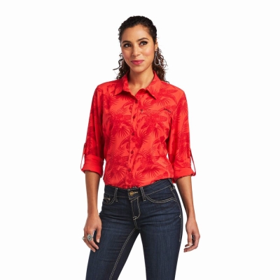 Top Ariat VentTEK Stretch Donna Grigie | IT354VFNO