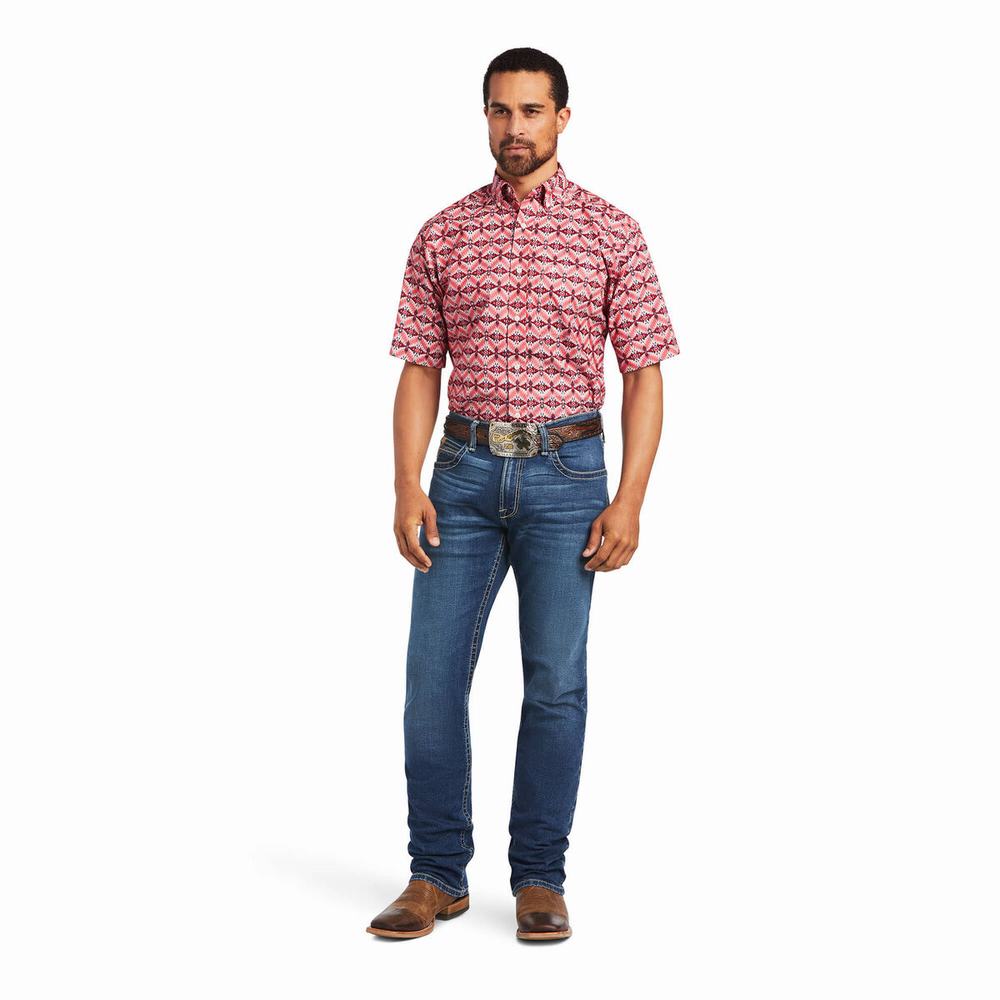 Camicie Ariat Frankie Classiche Fit Uomo Colorate | IT321ARJW