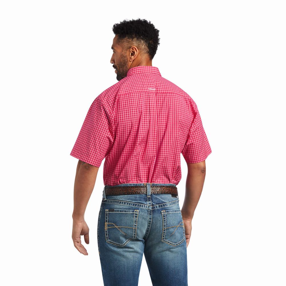 Camicie Ariat Pro Series Miles Classiche Fit Uomo Rosa Chiaro | IT856YVQK