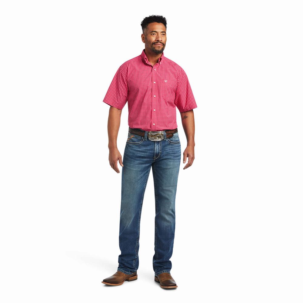 Camicie Ariat Pro Series Miles Classiche Fit Uomo Rosa Chiaro | IT856YVQK