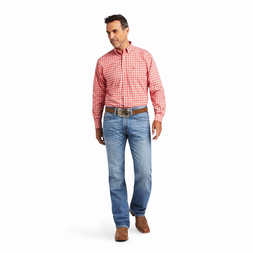 Camicie Ariat Pro Series Teddy Stretch Classiche Fit Uomo Colorate | IT765ZELH