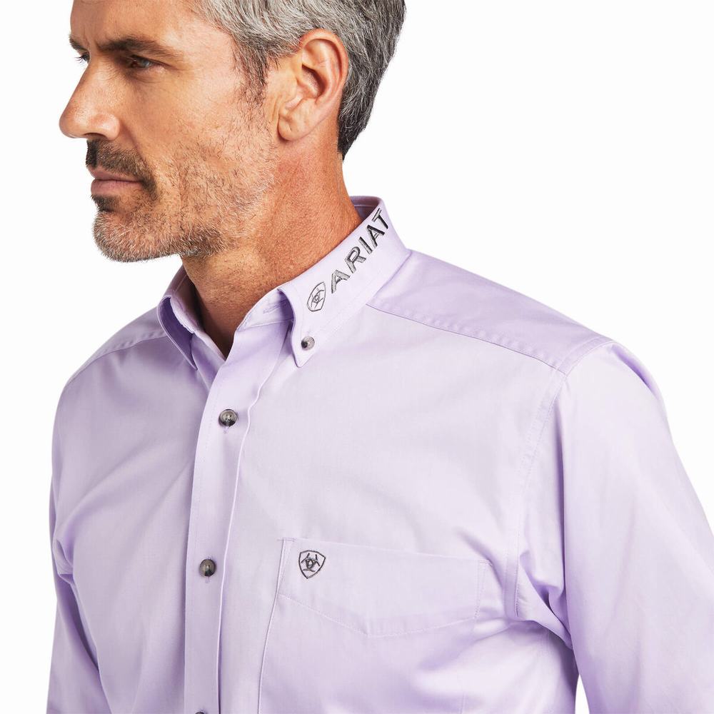 Camicie Ariat Team Logo Twill Fitted Uomo Viola Grigie | IT918PURI