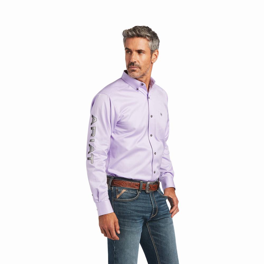 Camicie Ariat Team Logo Twill Fitted Uomo Viola Grigie | IT918PURI