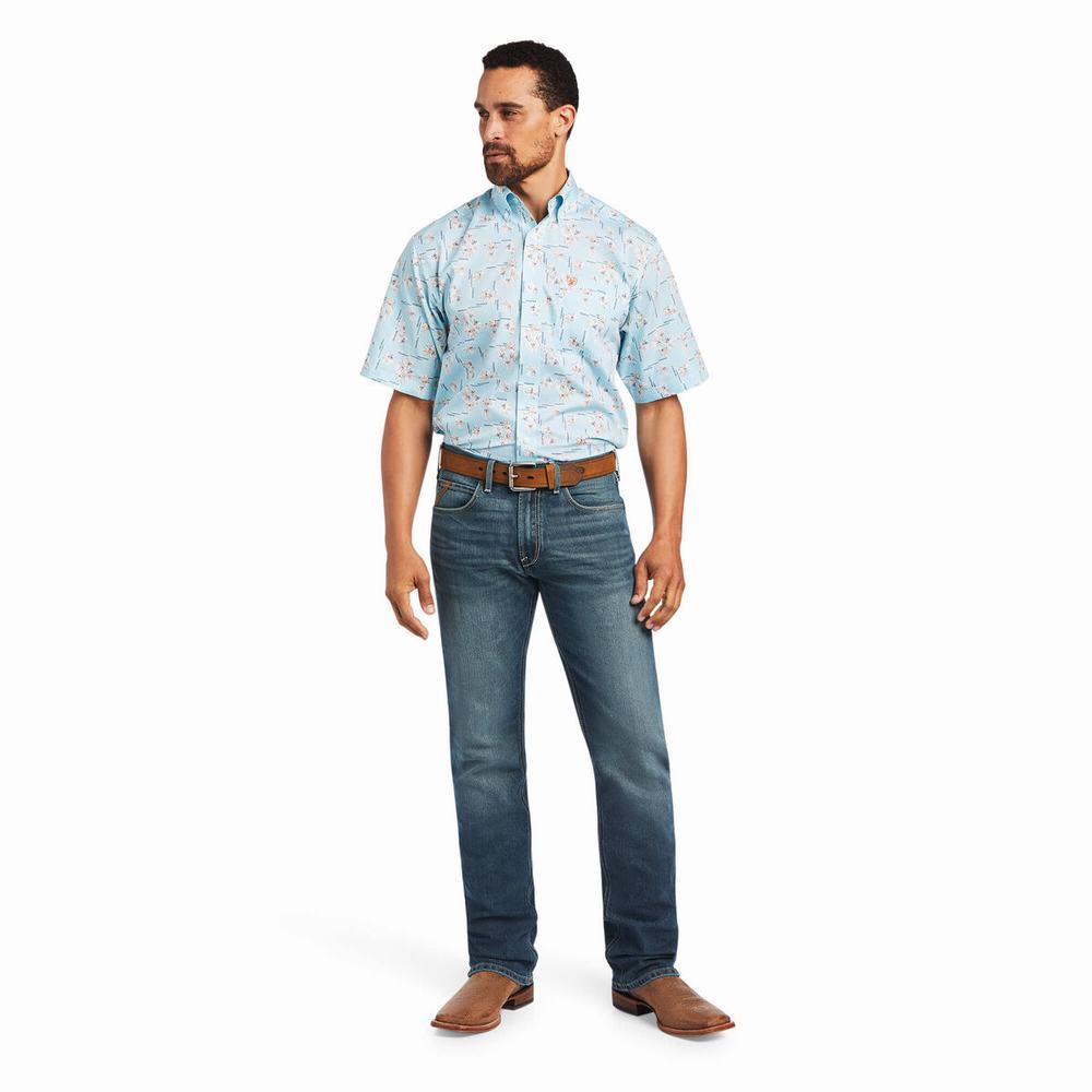 Camicie Ariat Wrinkle Free Yariel Classiche Fit Uomo Blu | IT260DWPK