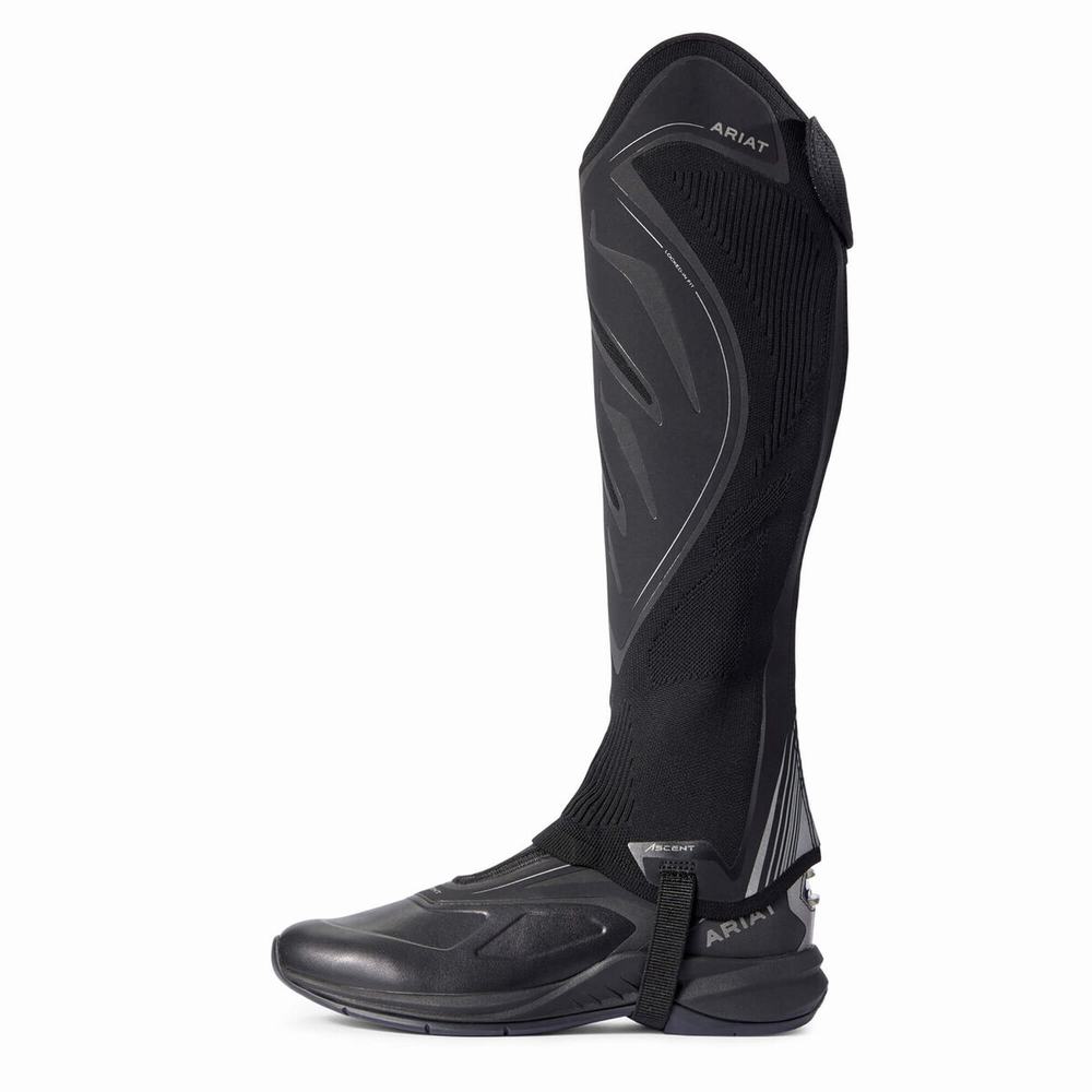 English Riding Boots Ariat Ascent Half Chap Donna Nere | IT058ADNV