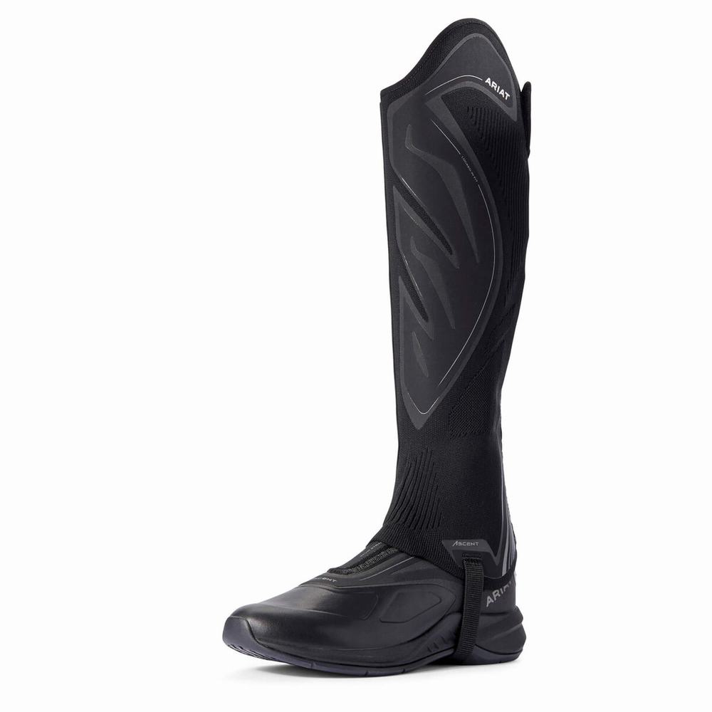 English Riding Boots Ariat Ascent Half Chap Donna Nere | IT058ADNV