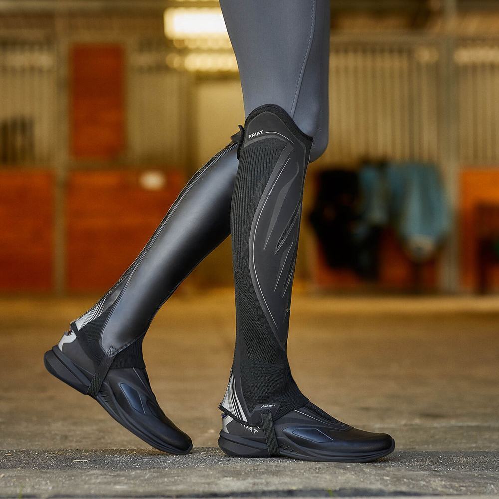 English Riding Boots Ariat Ascent Half Chap Donna Nere | IT058ADNV