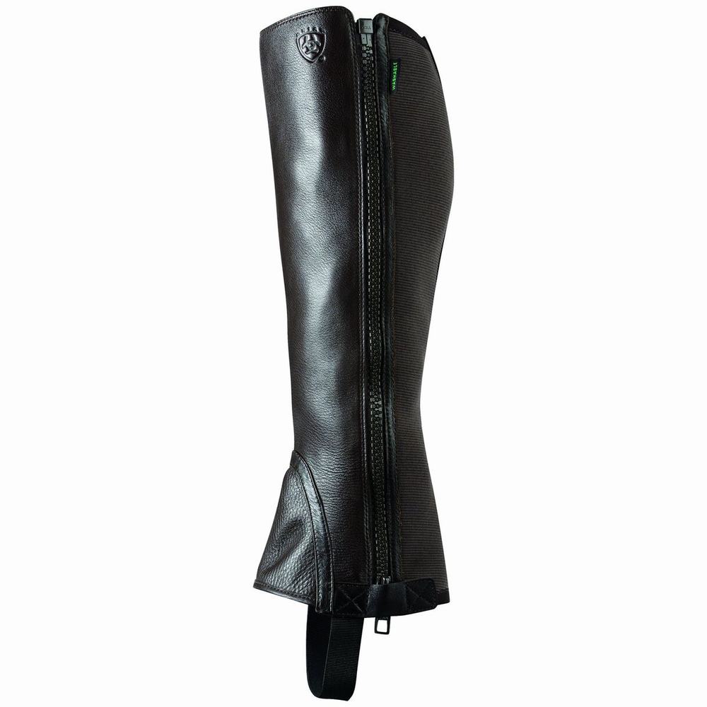 English Riding Boots Ariat Breeze Chap Half Chap Donna Cioccolato | IT015IARD