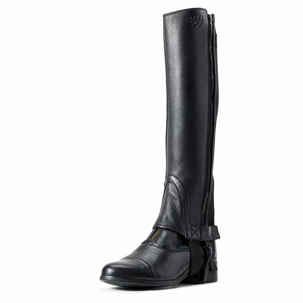 English Riding Boots Ariat Breeze Chap Half Chap Uomo Nere | IT340HDAG