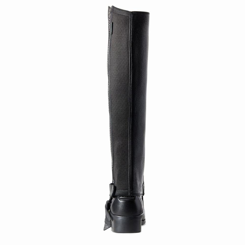 English Riding Boots Ariat Breeze Chap Half Chap Donna Nere | IT514THGS