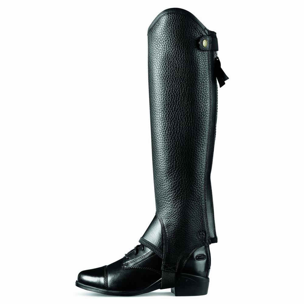 English Riding Boots Ariat Concord Chap Half Chap Donna Nere | IT587CQAH