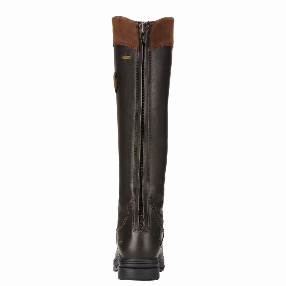 English Riding Boots Ariat Coniston Pro GORE-TEX Insulated Donna Colorate | IT326MNAO