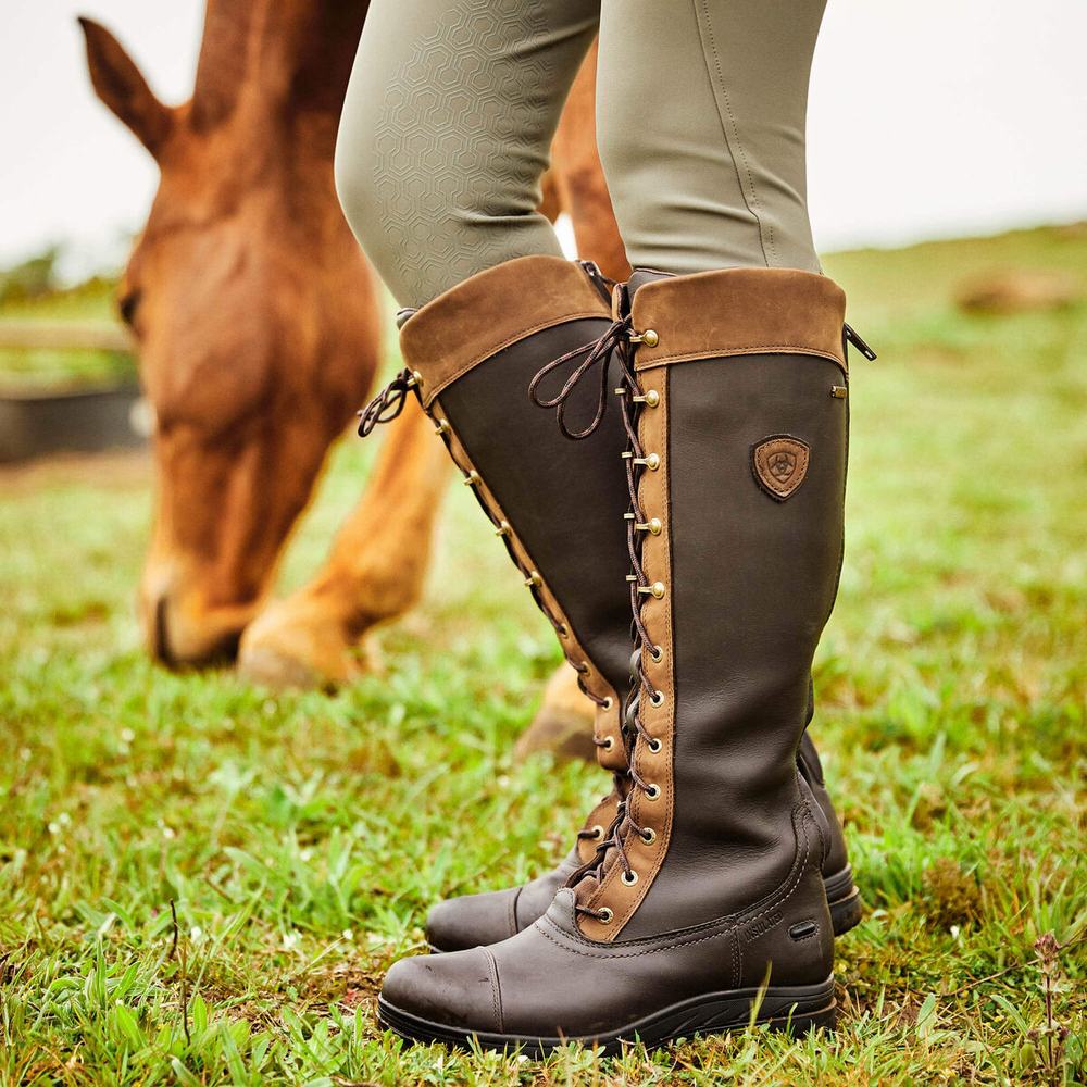 English Riding Boots Ariat Coniston Pro GORE-TEX Insulated Donna Colorate | IT326MNAO