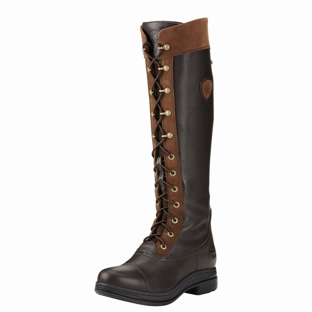 English Riding Boots Ariat Coniston Pro GORE-TEX Insulated Donna Colorate | IT326MNAO