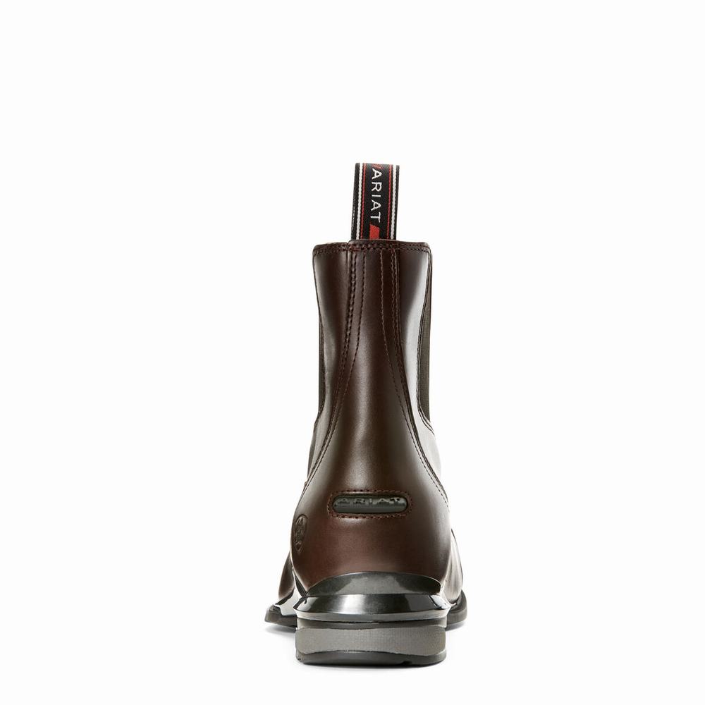 English Riding Boots Ariat Devon Nitro Paddock Donna Cioccolato | IT407SNJL