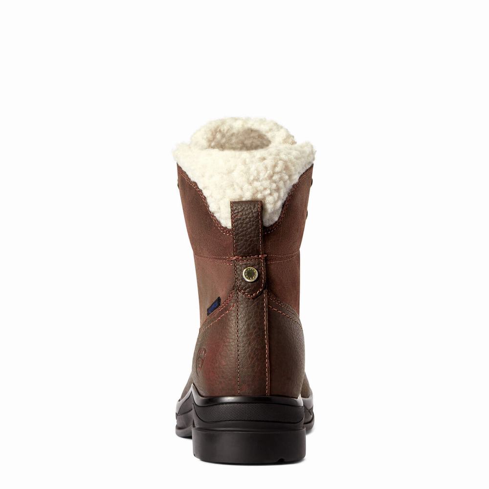 English Riding Boots Ariat Harper Impermeabili Donna Marroni Scuro | IT971CWKS