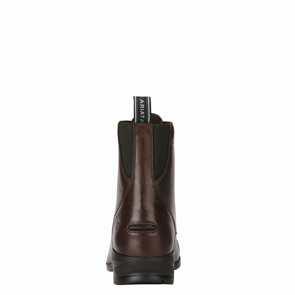 English Riding Boots Ariat Heritage IV Paddock Donna Marroni Chiaro | IT628PFIN