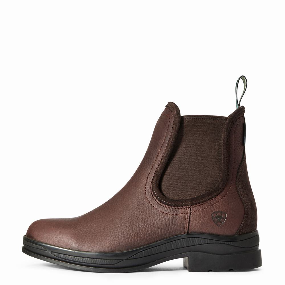 English Riding Boots Ariat Keswick Impermeabili Donna Marroni Scuro | IT691QYCJ