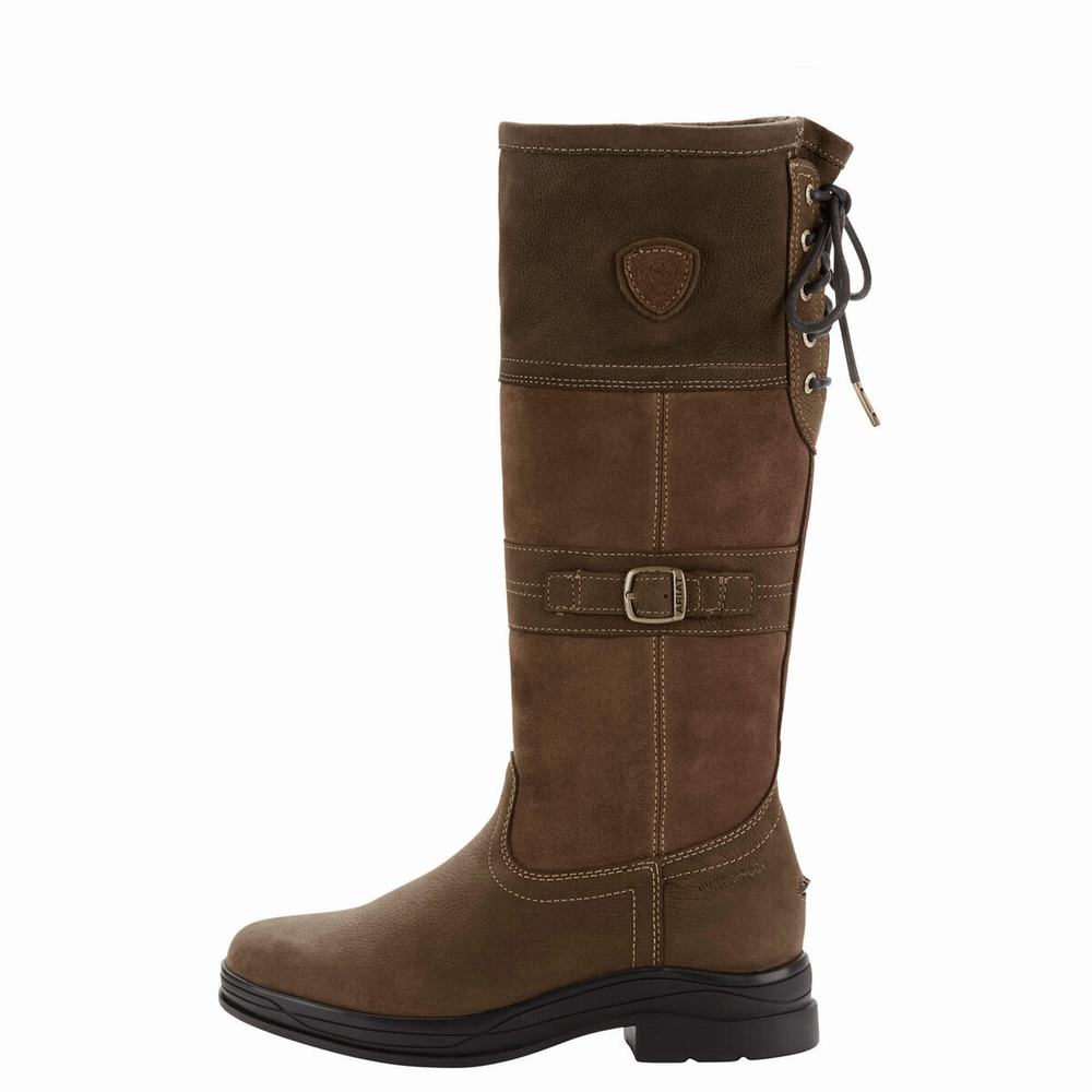 English Riding Boots Ariat Langdale Impermeabili Donna Colorate | IT647JVYU