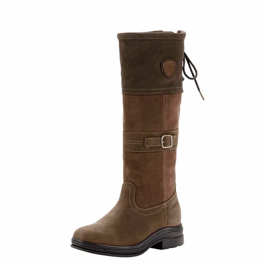 English Riding Boots Ariat Langdale Impermeabili Donna Colorate | IT647JVYU