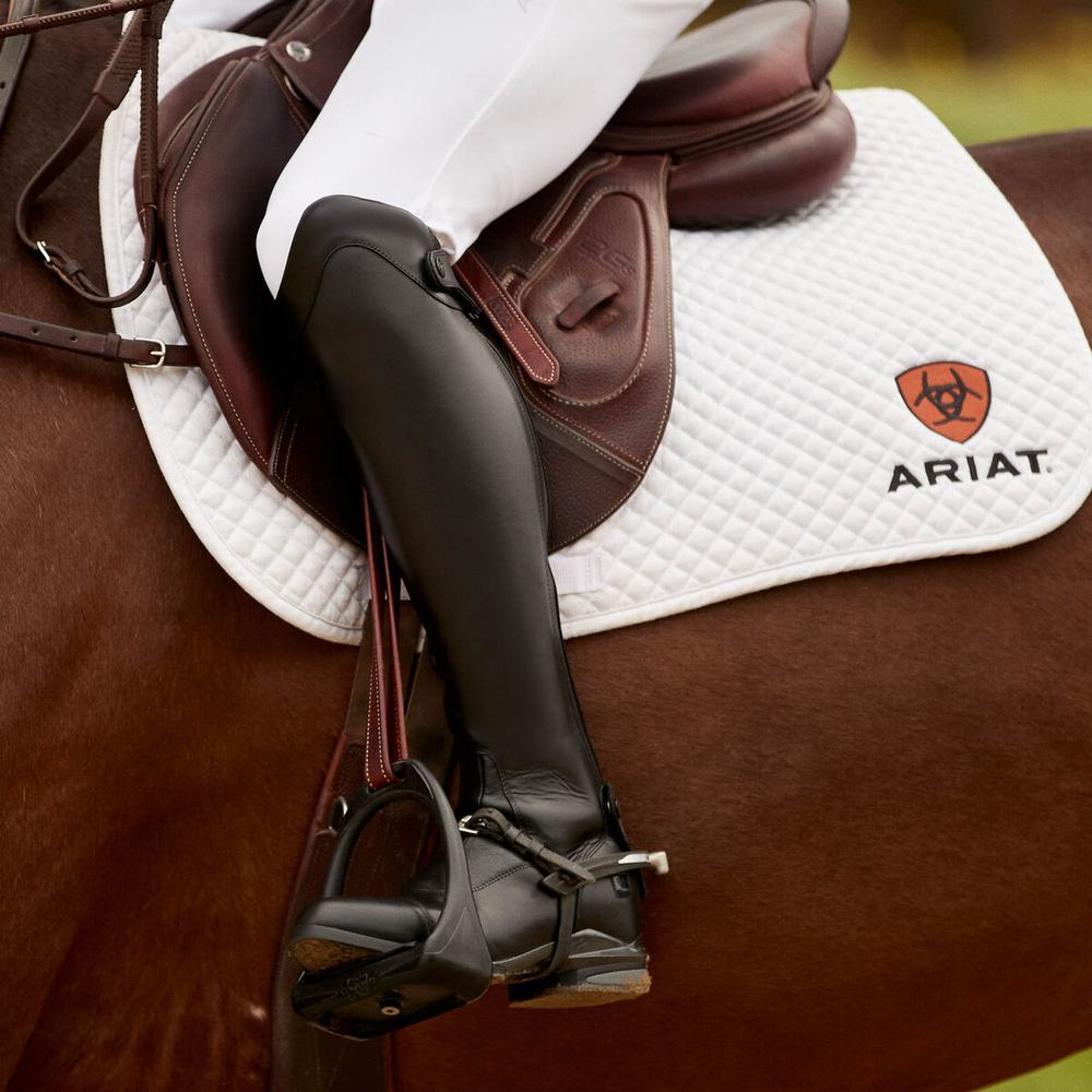 English Riding Boots Ariat Nitro Max Alti Cavalcare Uomo Nere | IT210UABE