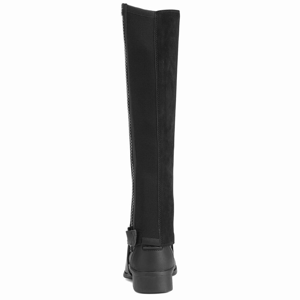 English Riding Boots Ariat Scout Chap Half Chap Uomo Nere | IT941EKOF