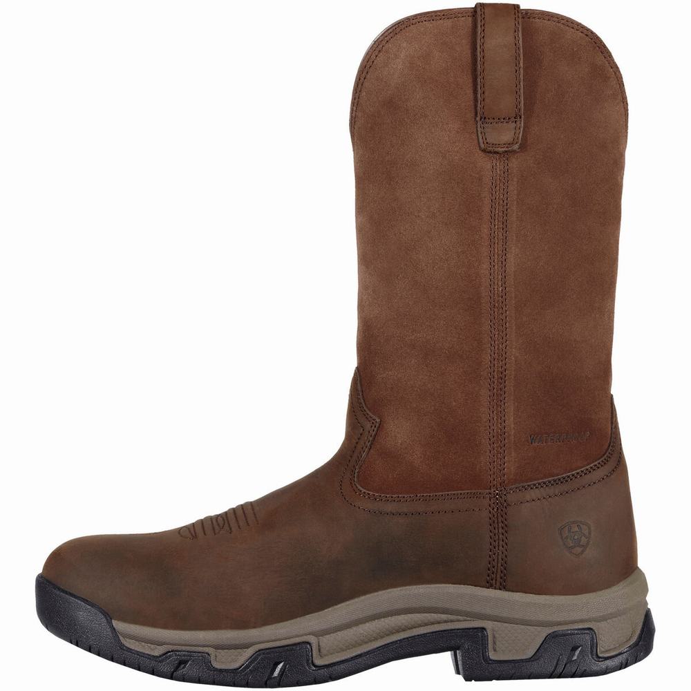 English Riding Boots Ariat Terrain Pull On Impermeabili Uomo Marroni | IT038LQWH