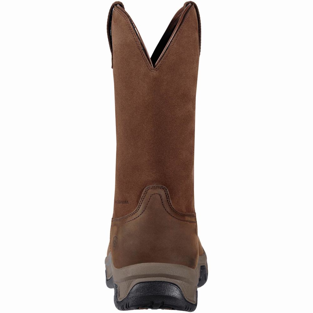 English Riding Boots Ariat Terrain Pull On Impermeabili Uomo Marroni | IT038LQWH