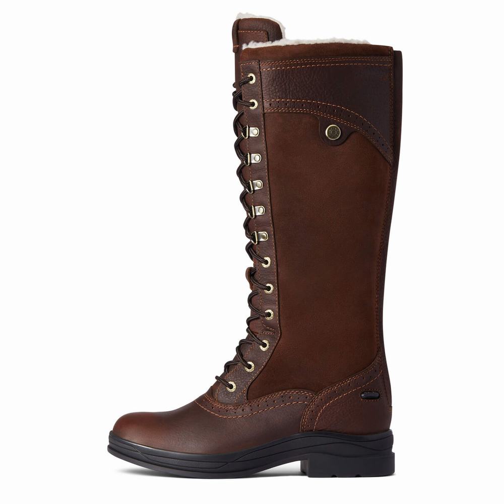 English Riding Boots Ariat Wythburn Alti Impermeabili Donna Marroni Scuro | IT398HLFS