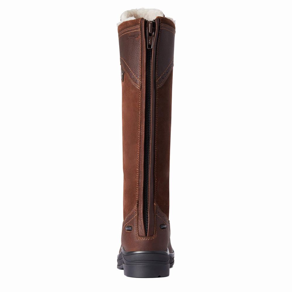 English Riding Boots Ariat Wythburn Alti Impermeabili Donna Marroni Scuro | IT398HLFS