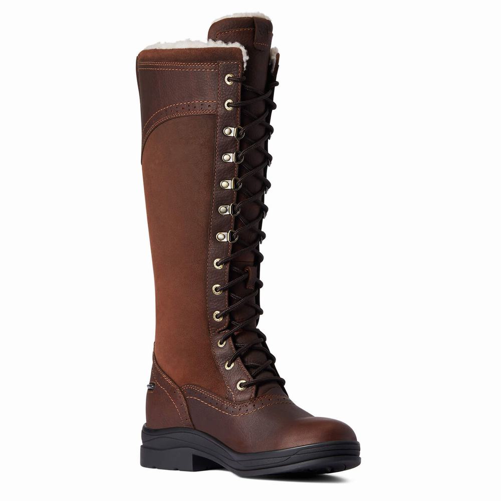 English Riding Boots Ariat Wythburn Alti Impermeabili Donna Marroni Scuro | IT398HLFS