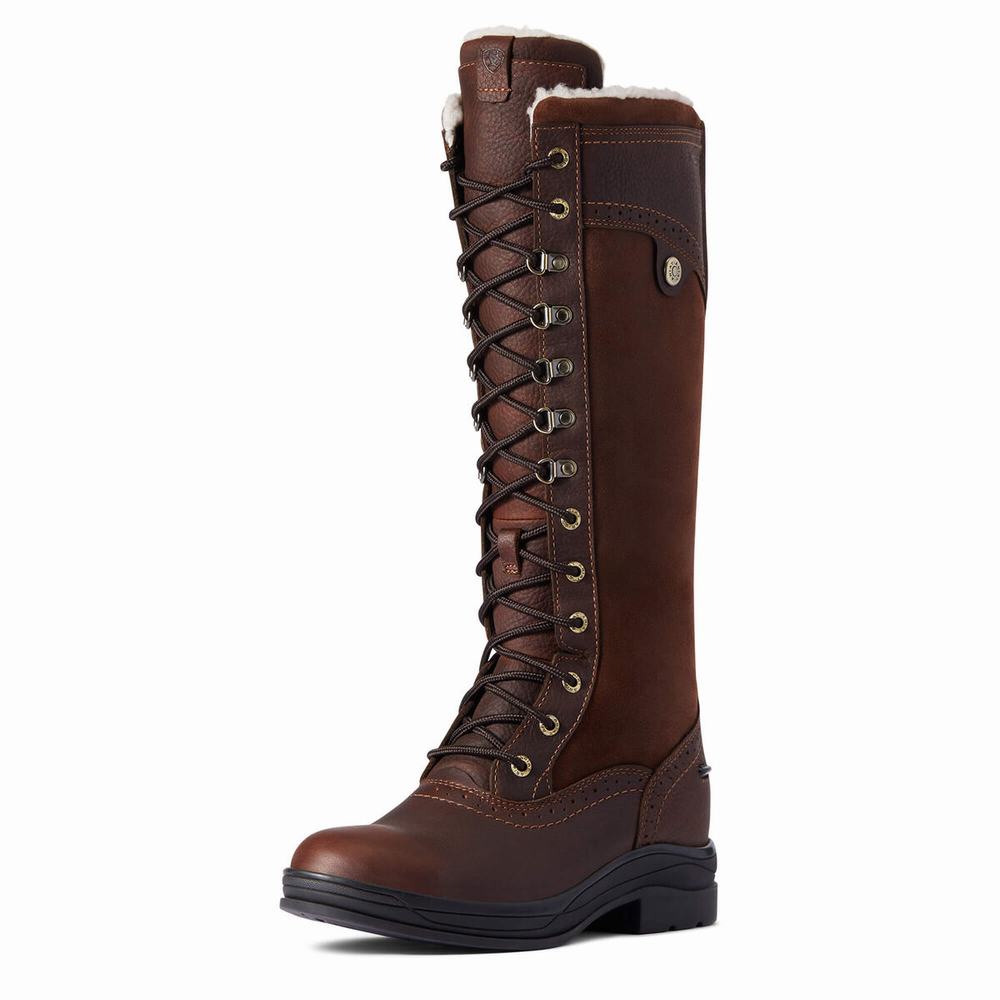 English Riding Boots Ariat Wythburn Alti Impermeabili Donna Marroni Scuro | IT398HLFS