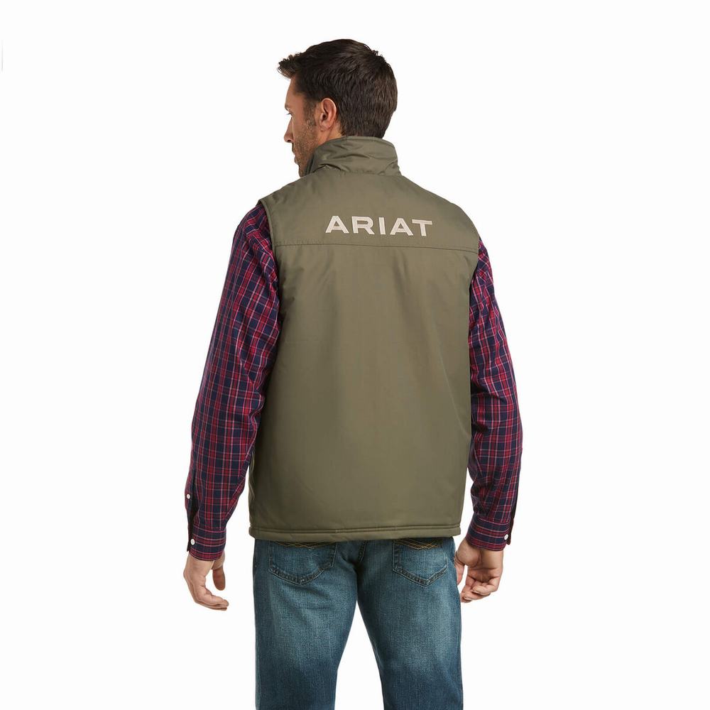 Giacca Ariat Team Logo Insulated Uomo Colorate | IT496VPHR