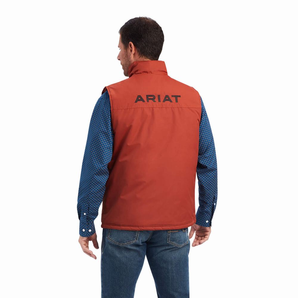 Giacca Ariat Team Logo Insulated Uomo Marroni | IT627NFSV