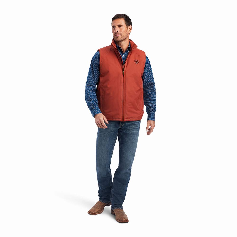 Giacca Ariat Team Logo Insulated Uomo Marroni | IT627NFSV