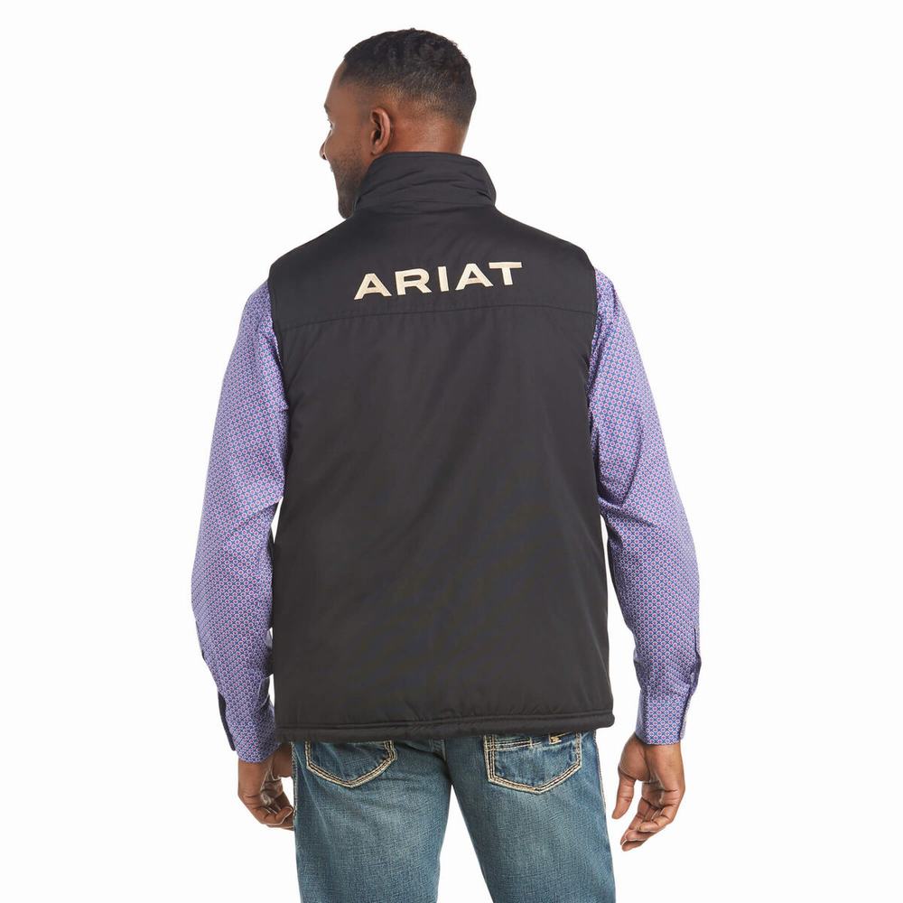 Giacca Ariat Team Logo Insulated Uomo Nere | IT812TBMS