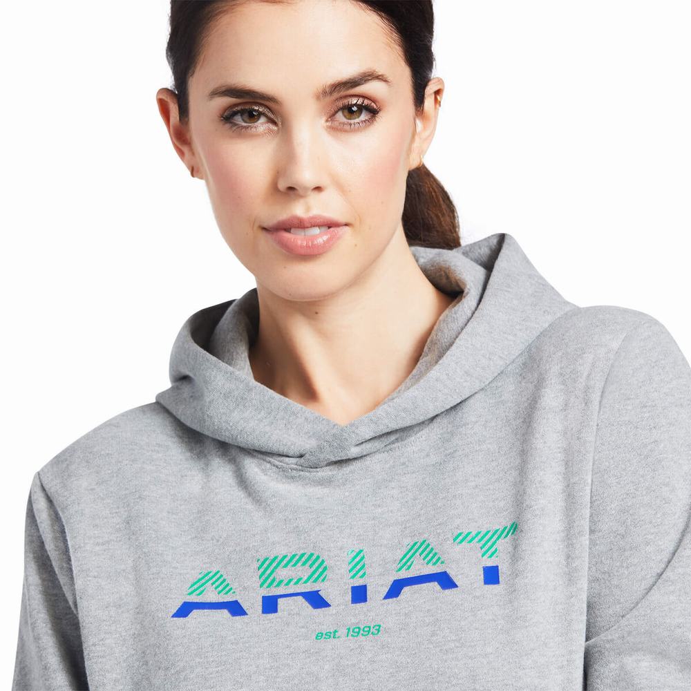 Hoodies Ariat 3D Logo 2.0 Donna Grigie | IT387MNLE